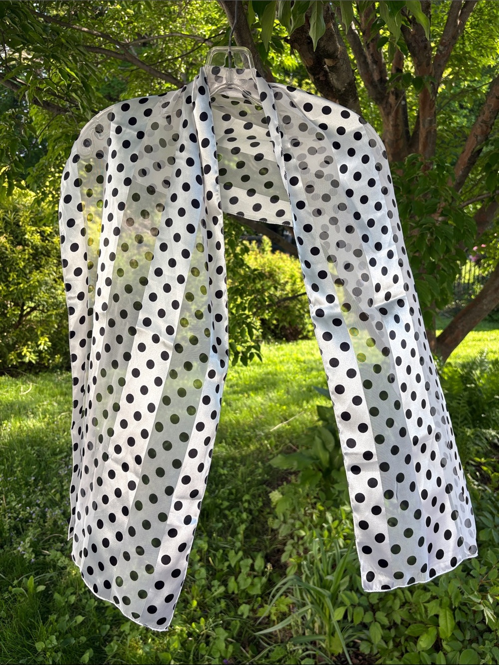 Polka Dot Sheer Scarf - Black and White